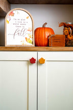 Fall Leaf Knobēz 6 pack