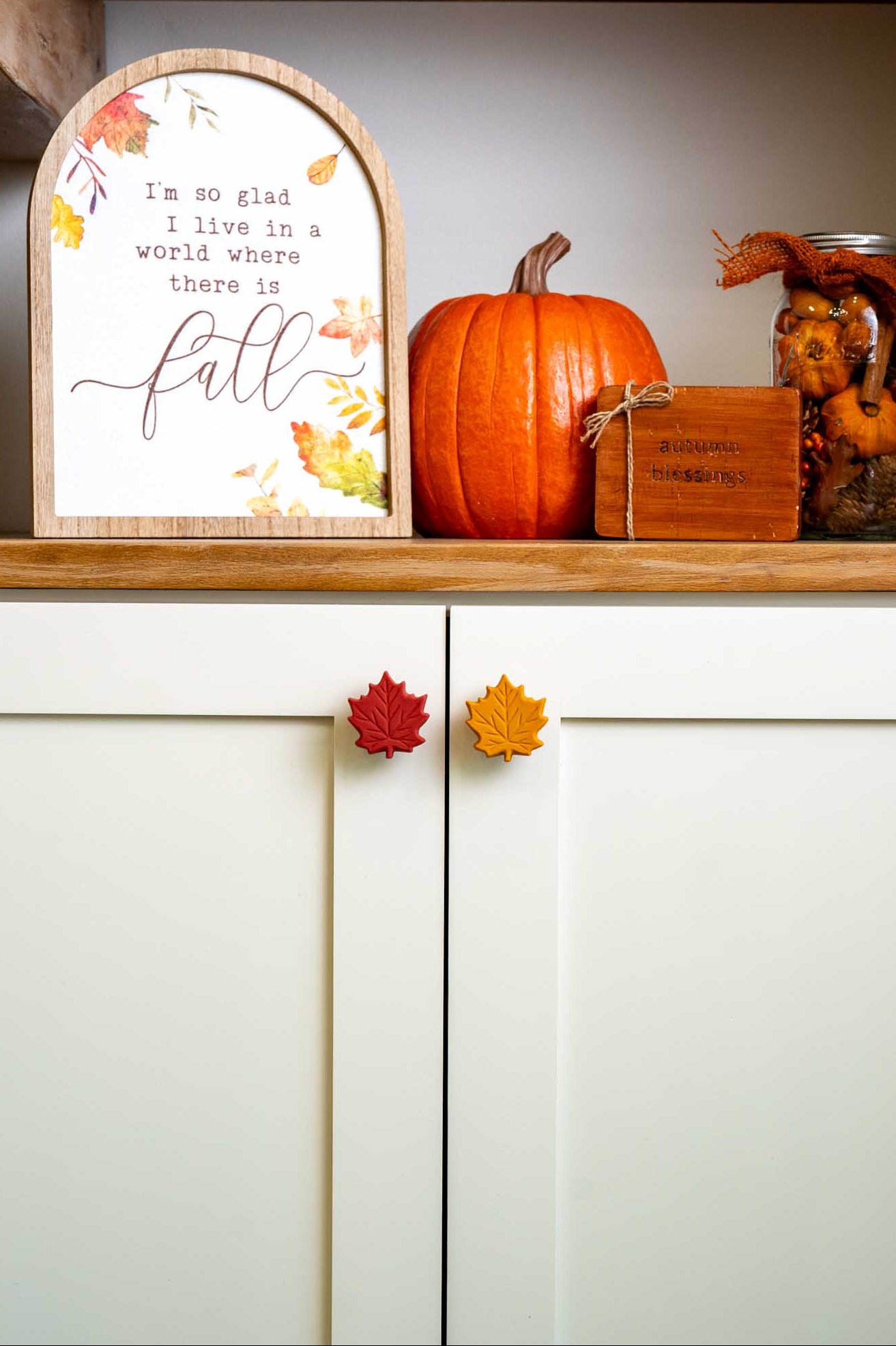 Fall Leaf Knobēz 12 pack
