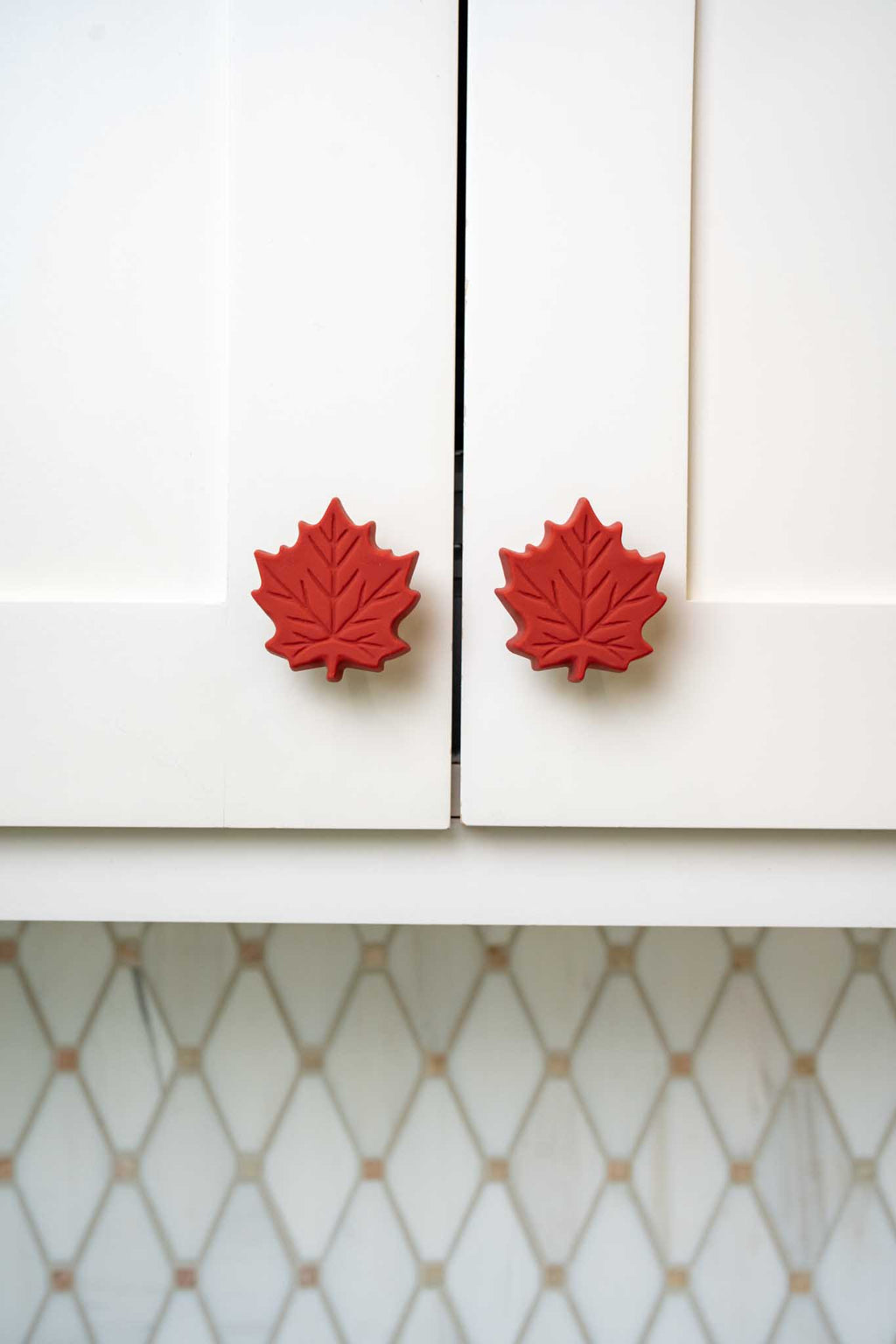 Fall Leaf Knobēz 12 pack