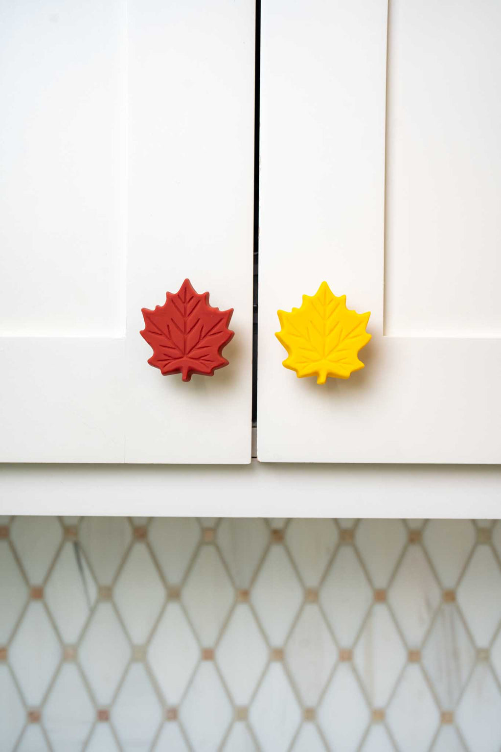 Fall Leaf Knobēz 6 pack