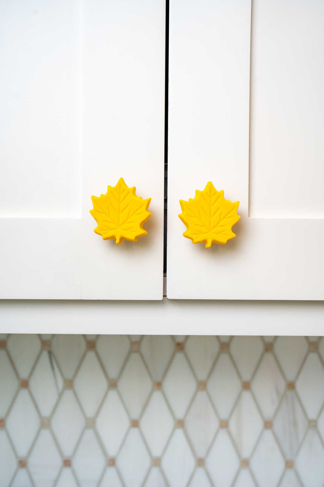 Fall Leaf Knobēz 6 pack