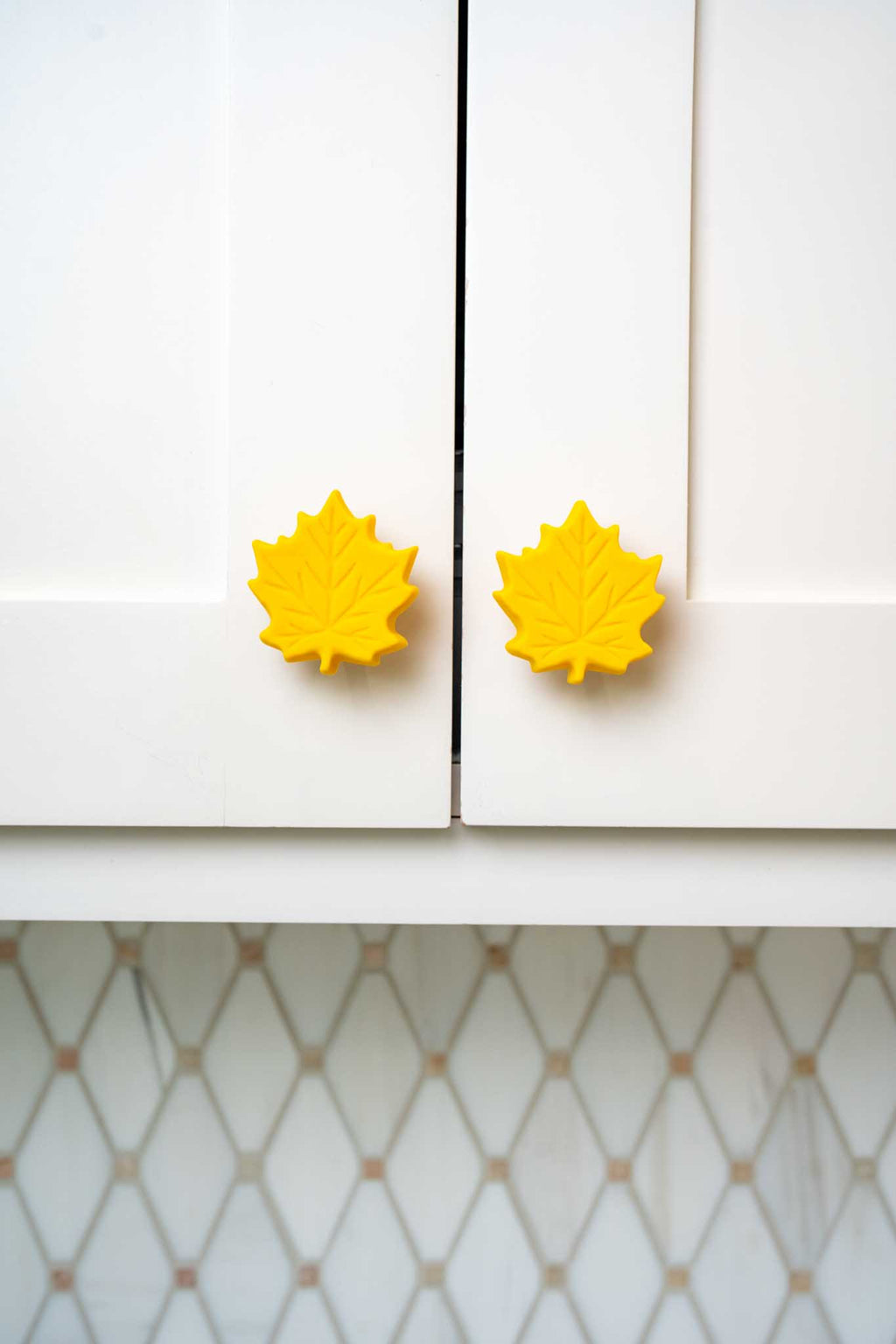 Fall Leaf Knobēz 12 pack