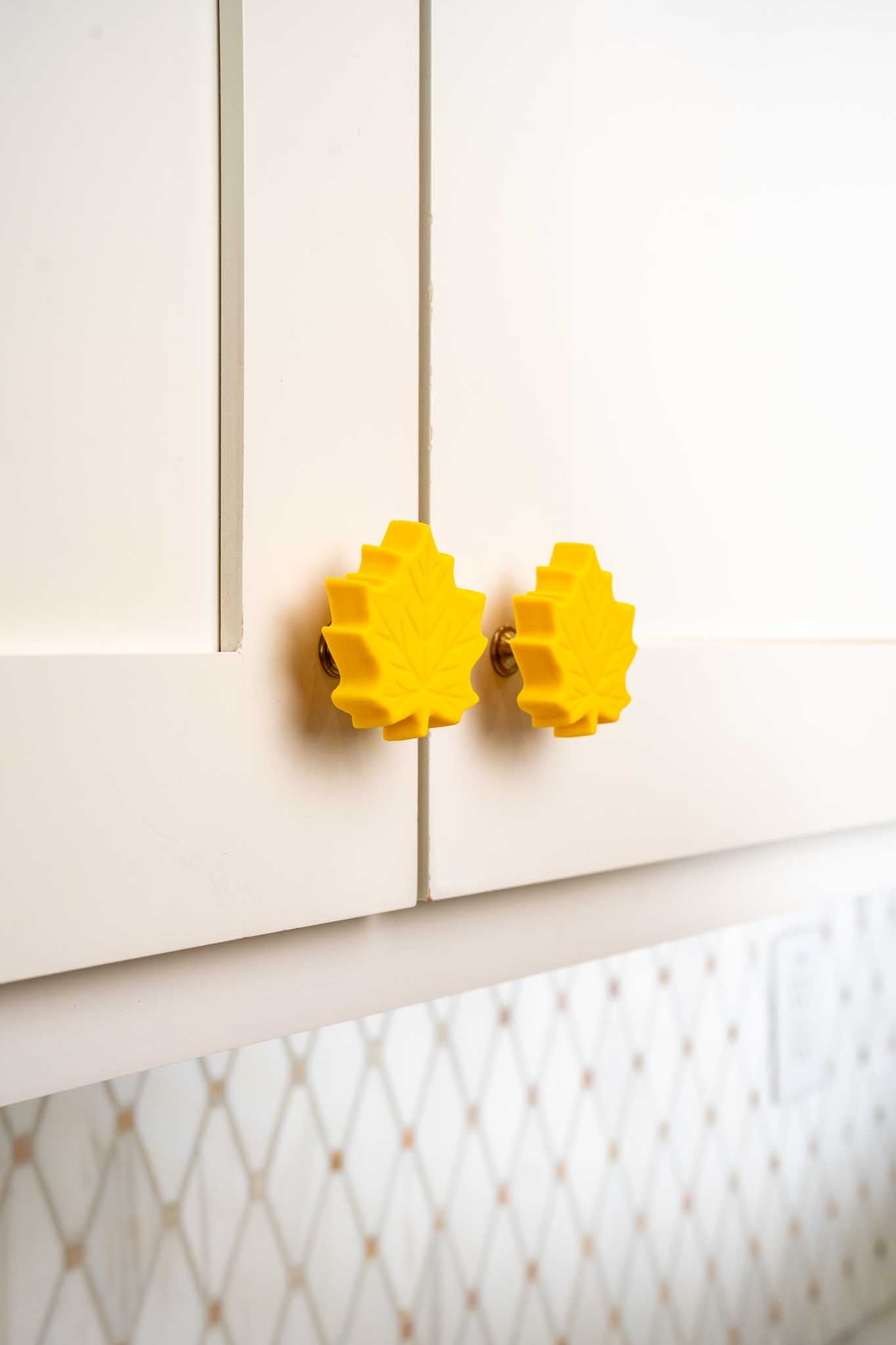 Fall Leaf Knobēz 6 pack