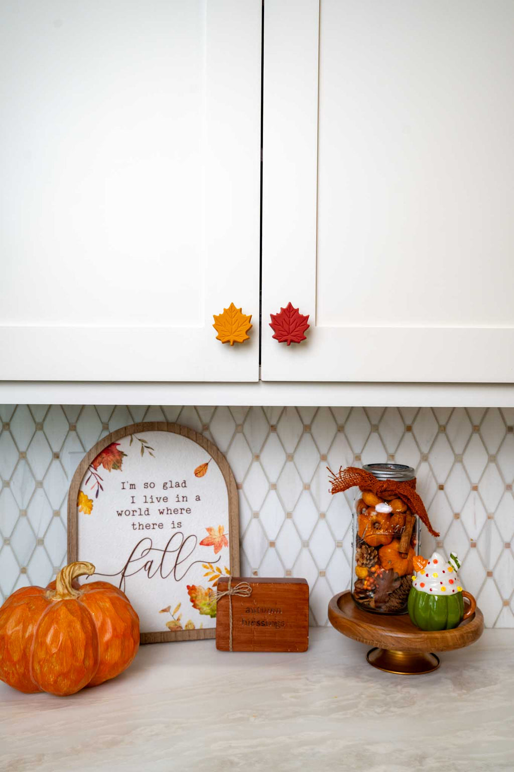 Fall Leaf Knobēz 6 pack