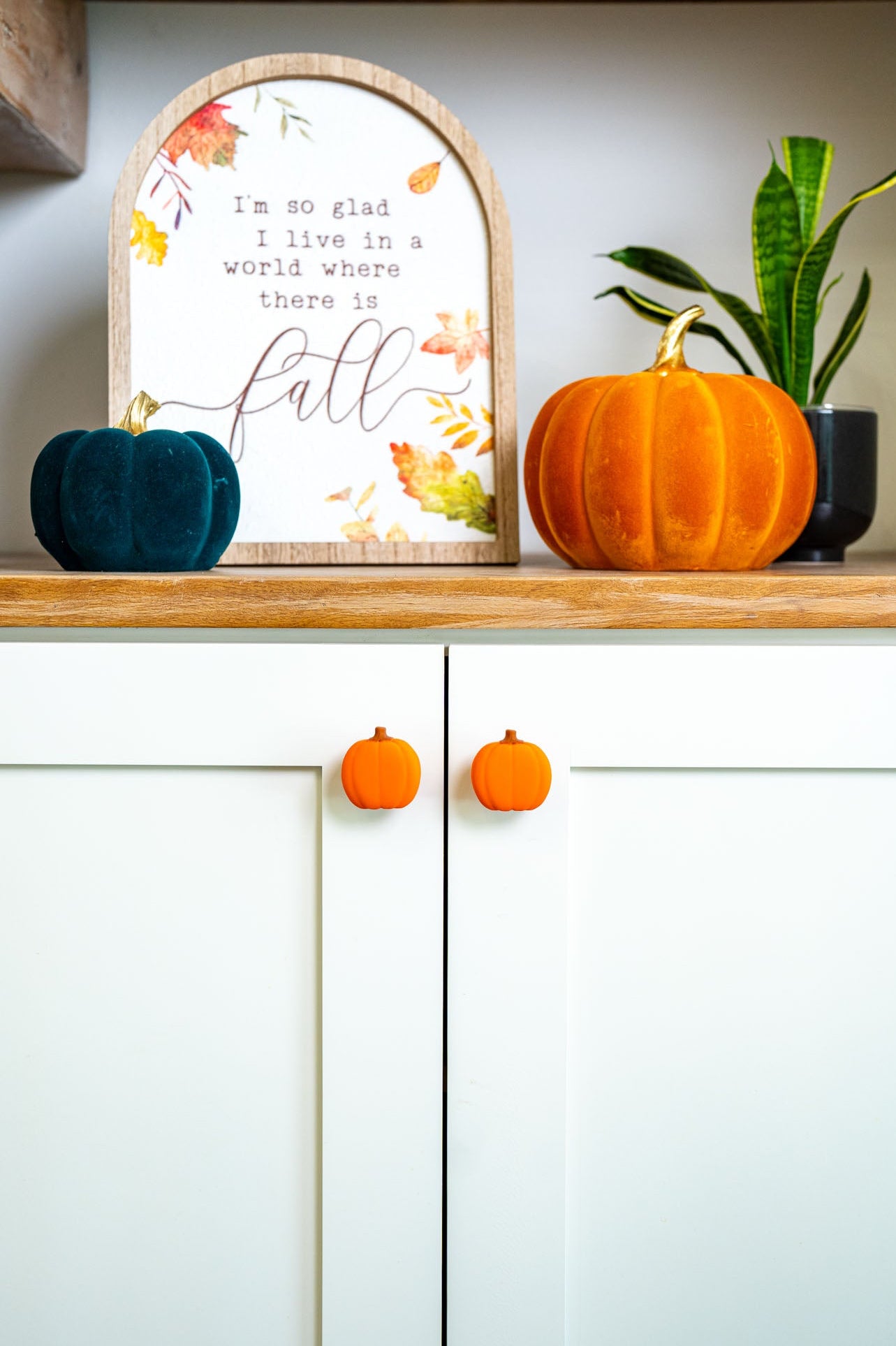 Fall Pumpkin Knobēz