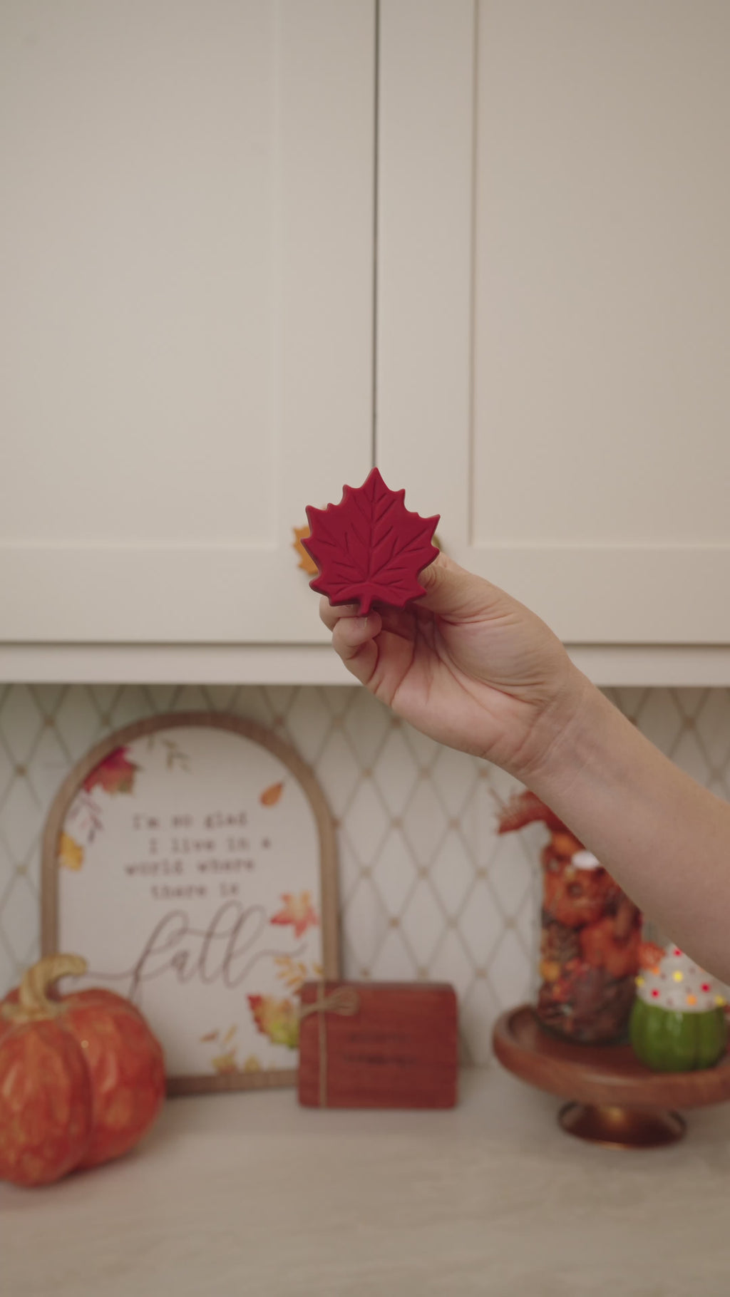 Fall Leaf Knobēz 6 pack
