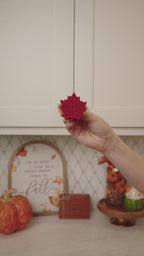 Fall Leaf Knobēz 6 pack